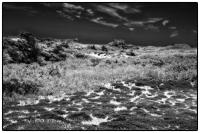 All images © Jane Marcy. All Rights Reserved.      