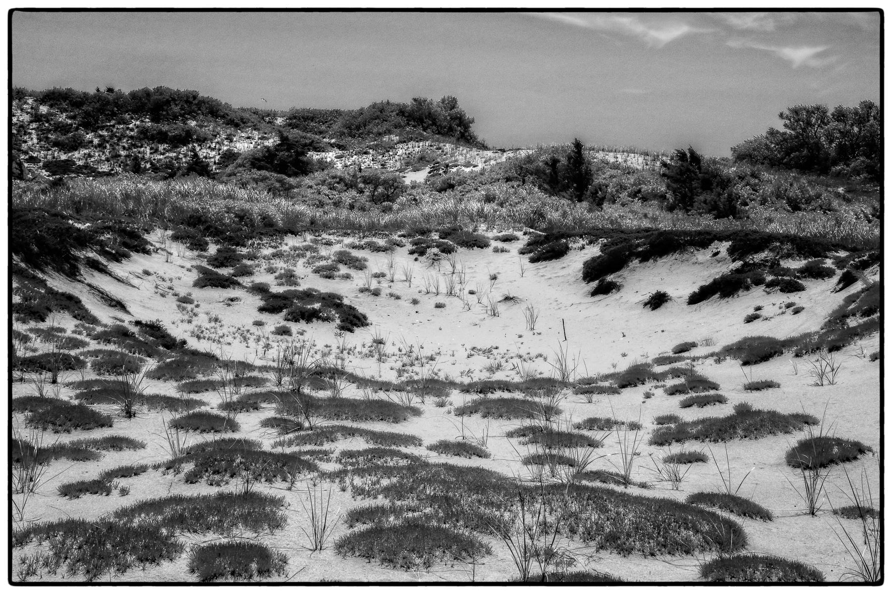 Inner Dunes of Chapin 3