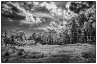 All images © Jane Marcy. All Rights Reserved.      