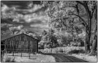 All images © Jane Marcy. All Rights Reserved.      