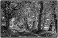 All images © Jane Marcy. All Rights Reserved.      