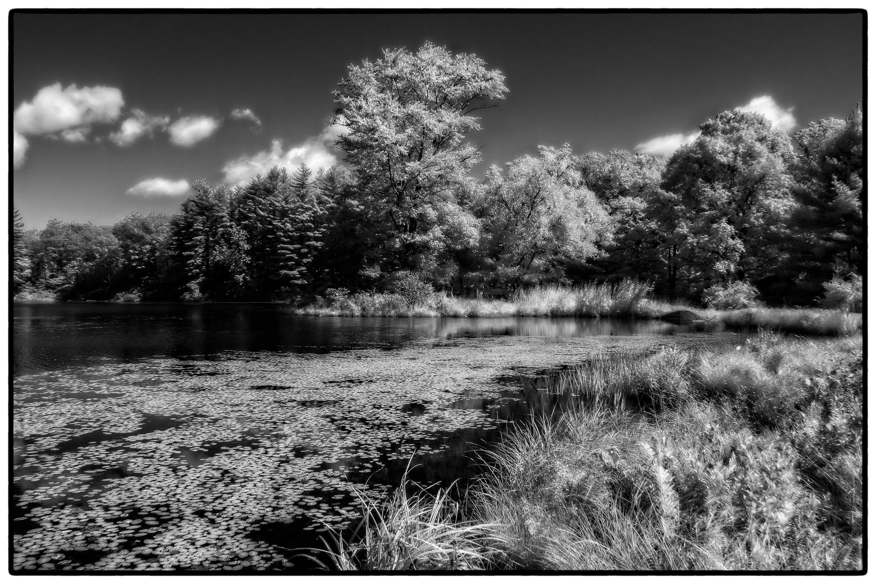 Pondside in Harriman