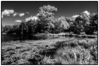 All images © Jane Marcy. All Rights Reserved.      