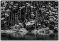 All images © Jane Marcy. All Rights Reserved.      