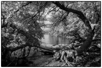 All images © Jane Marcy. All Rights Reserved.      