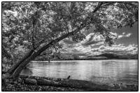 All images © Jane Marcy. All Rights Reserved.      