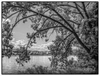 All images © Jane Marcy. All Rights Reserved.      