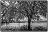 All images © Jane Marcy. All Rights Reserved.      