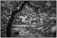 All images © Jane Marcy. All Rights Reserved.      