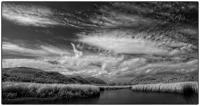 All images © Jane Marcy. All Rights Reserved.      