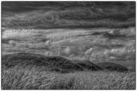 All images © Jane Marcy. All Rights Reserved.      