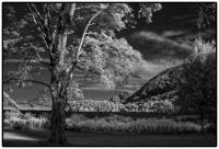 All images © Jane Marcy. All Rights Reserved.      