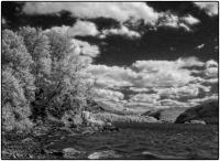All images © Jane Marcy. All Rights Reserved.      
