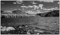 All images © Jane Marcy. All Rights Reserved.      