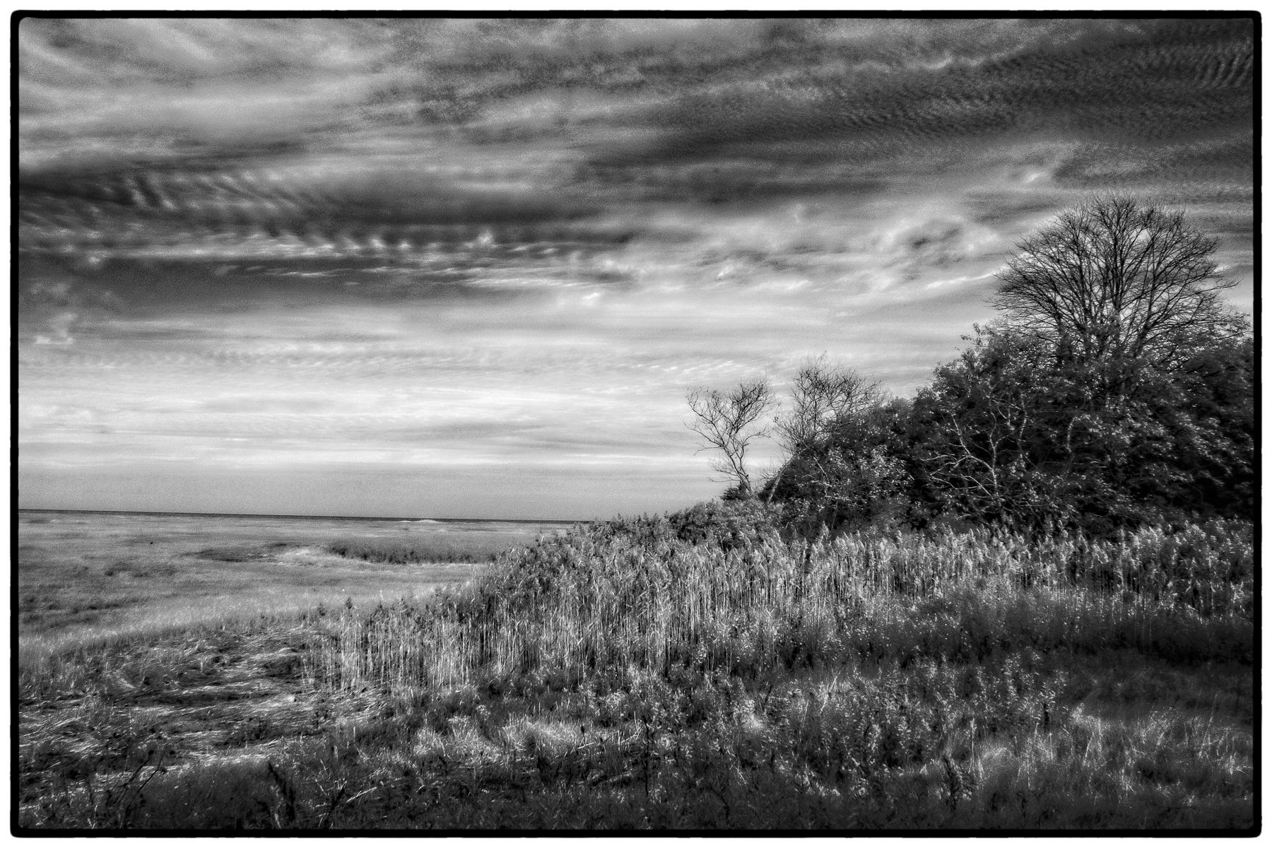 Yarmouth Marshlands