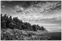 All images © Jane Marcy. All Rights Reserved.      