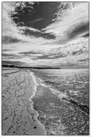 All images © Jane Marcy. All Rights Reserved.      