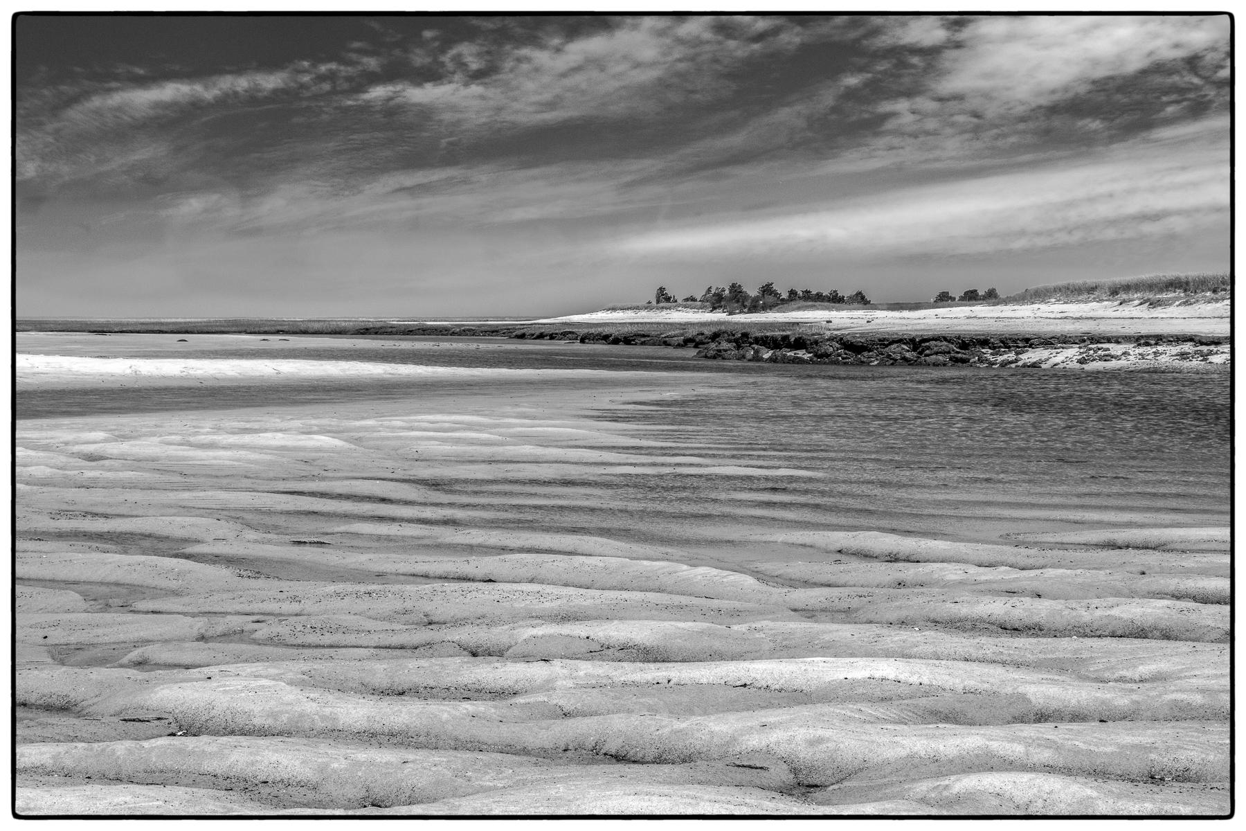 Low Tide Scene