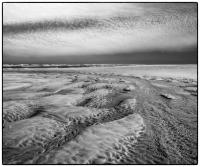 All images © Jane Marcy. All Rights Reserved.      