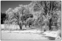 All images © Jane Marcy. All Rights Reserved.      