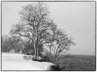All images © Jane Marcy. All Rights Reserved.      