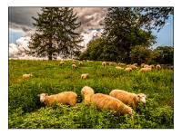 All images © Jane Marcy. All Rights Reserved.      