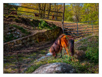 All images © Jane Marcy. All Rights Reserved.      