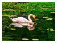 All images © Jane Marcy. All Rights Reserved.      