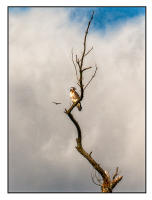 All images © Jane Marcy. All Rights Reserved.      