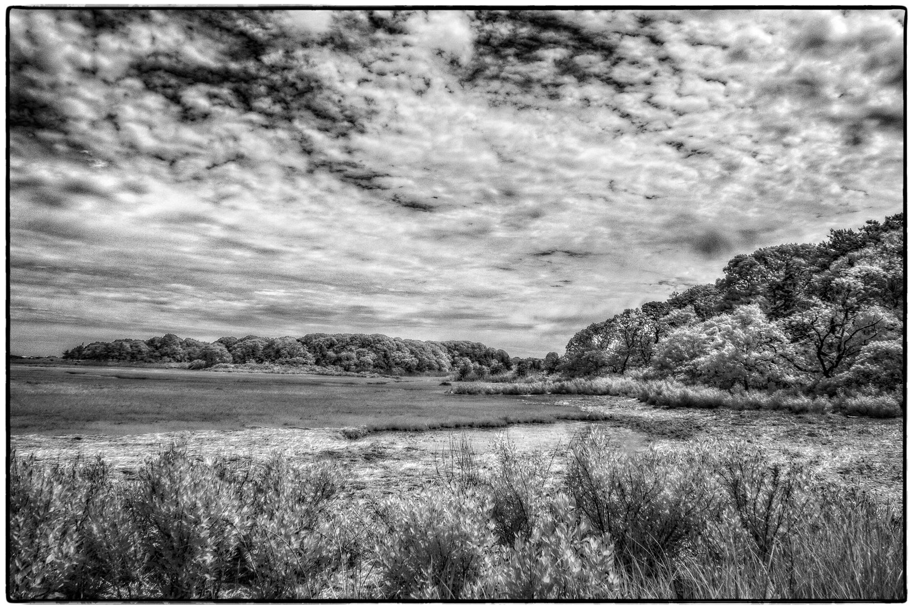 Yarmouth Marsh Waterfront 