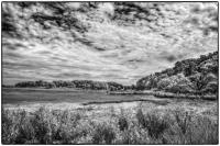 All images © Jane Marcy. All Rights Reserved.      