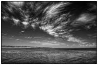 All images © Jane Marcy. All Rights Reserved.      
