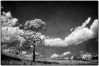 All images © Jane Marcy. All Rights Reserved.      