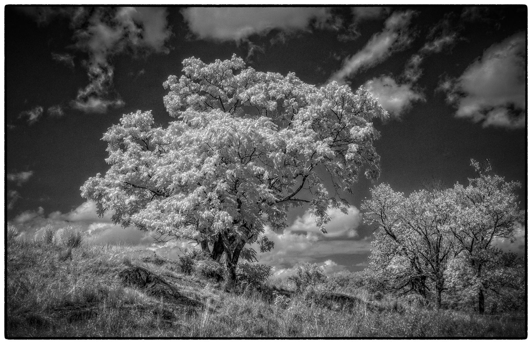 Stone Barn Pasture Lands