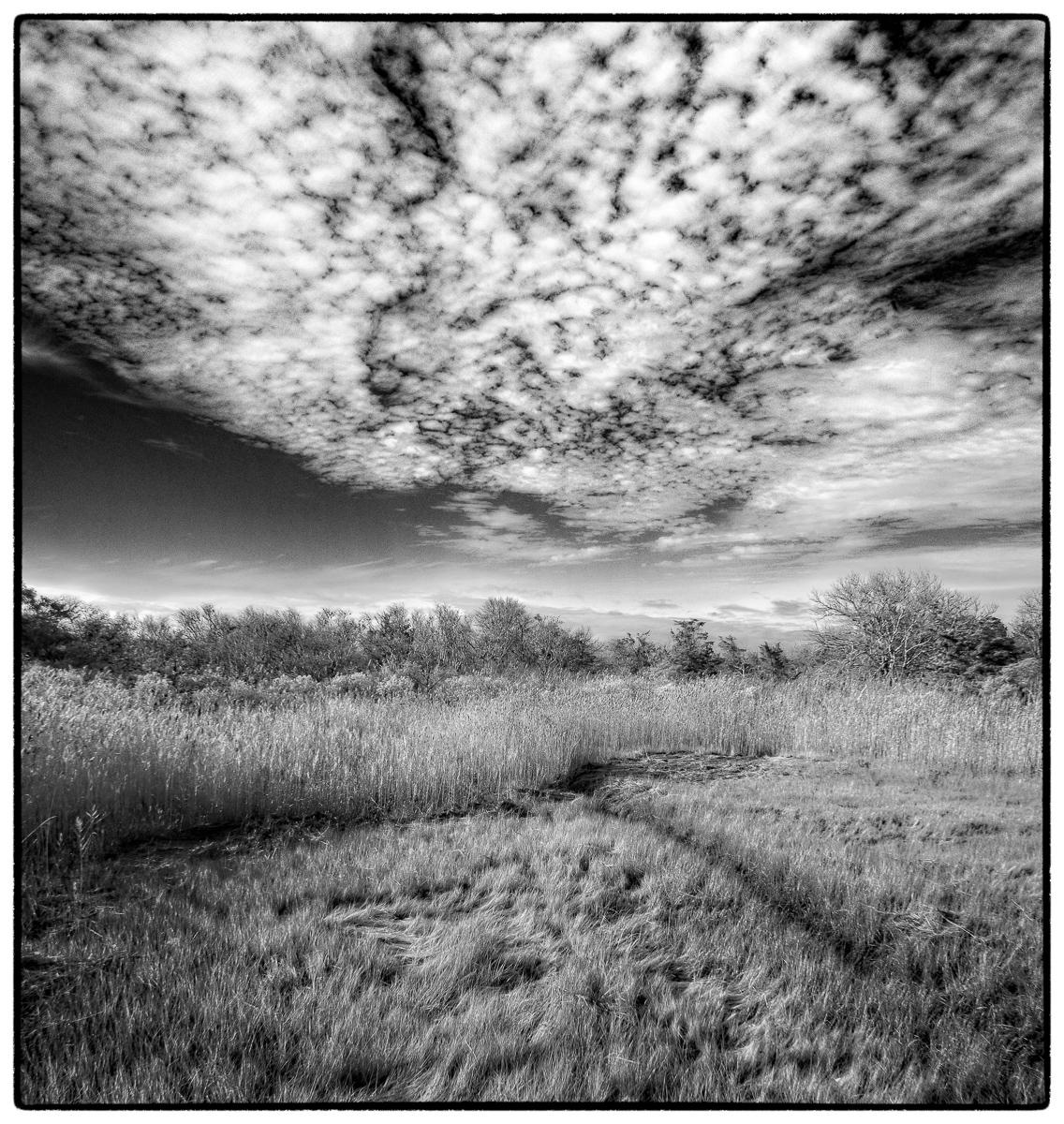 Ocean Marsh Gateway 