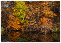 All images © Jane Marcy. All Rights Reserved.      