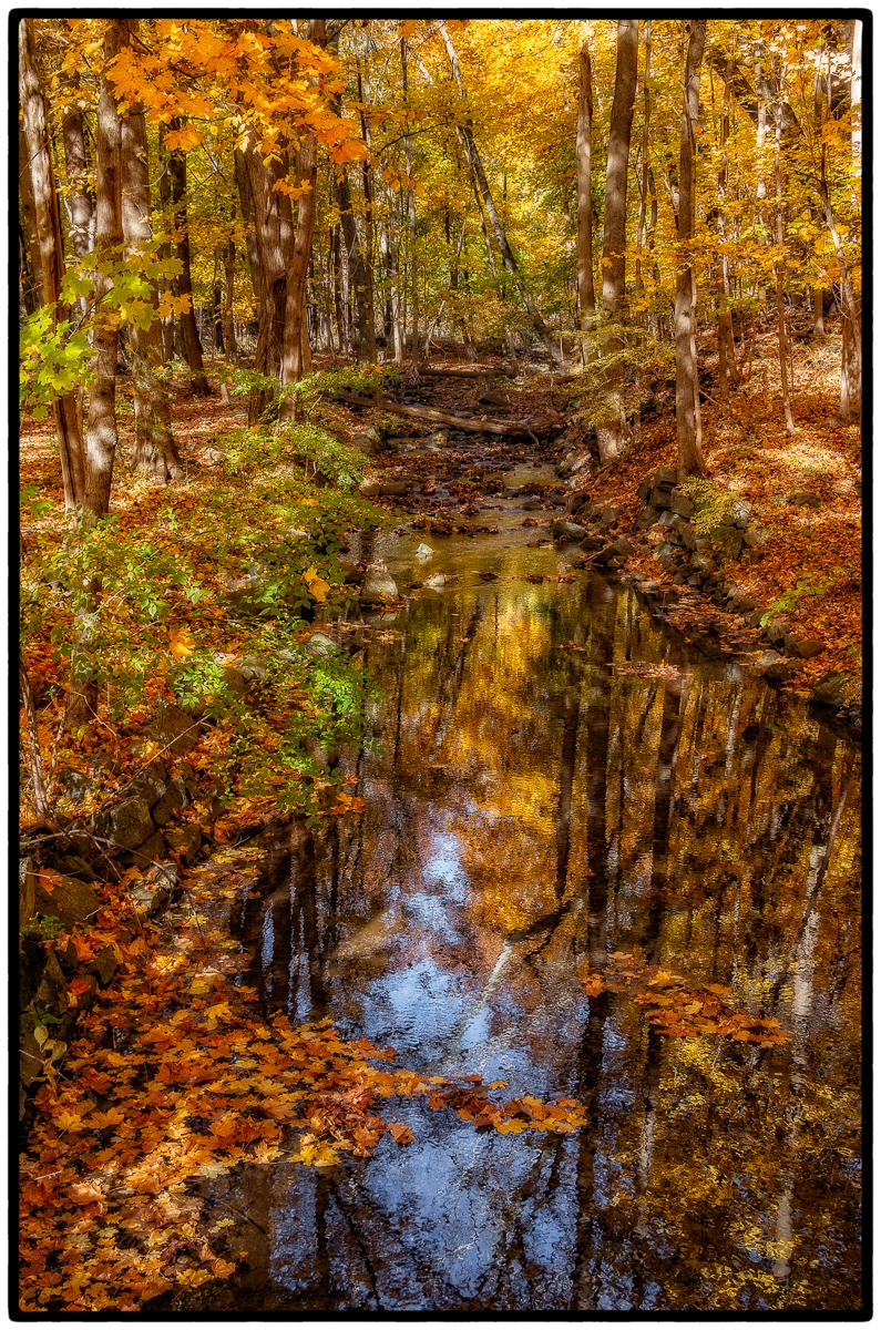 Fall Foundry Stream