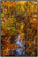 All images © Jane Marcy. All Rights Reserved.      