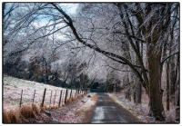 All images © Jane Marcy. All Rights Reserved.      