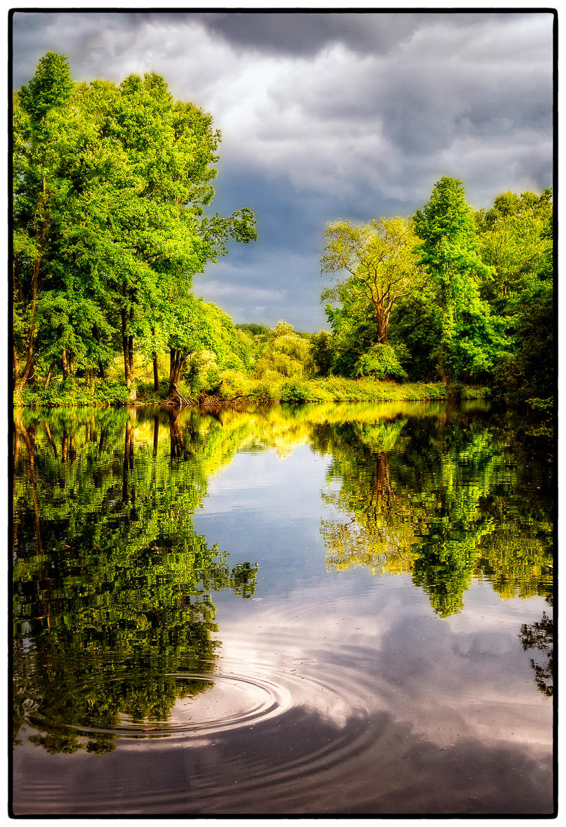 Spring Light before the Oncoming Storm