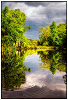 All images © Jane Marcy. All Rights Reserved.      