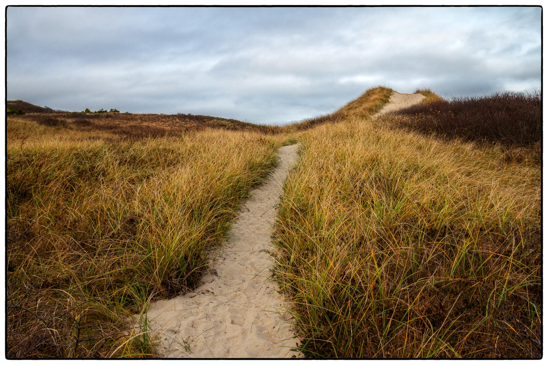 Bearberry Hill 's Path to the Ocean