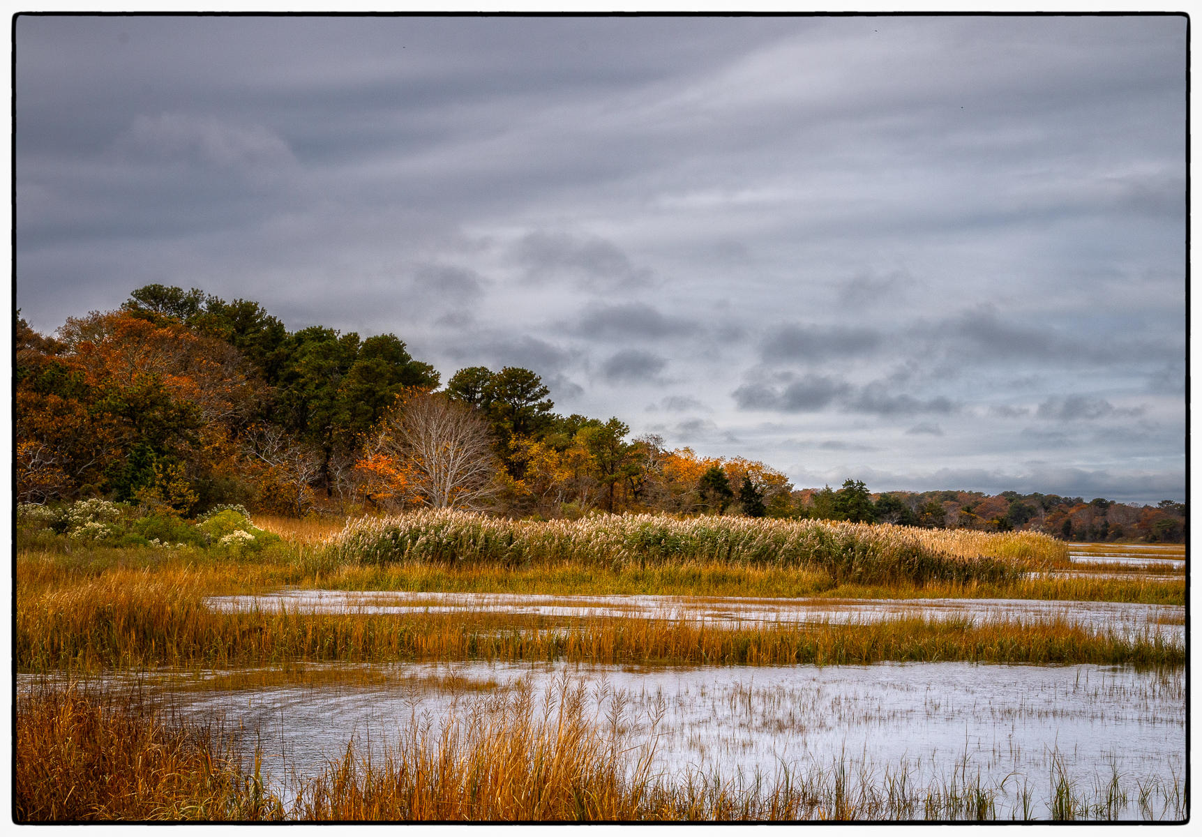 John Wing Trail Marsh