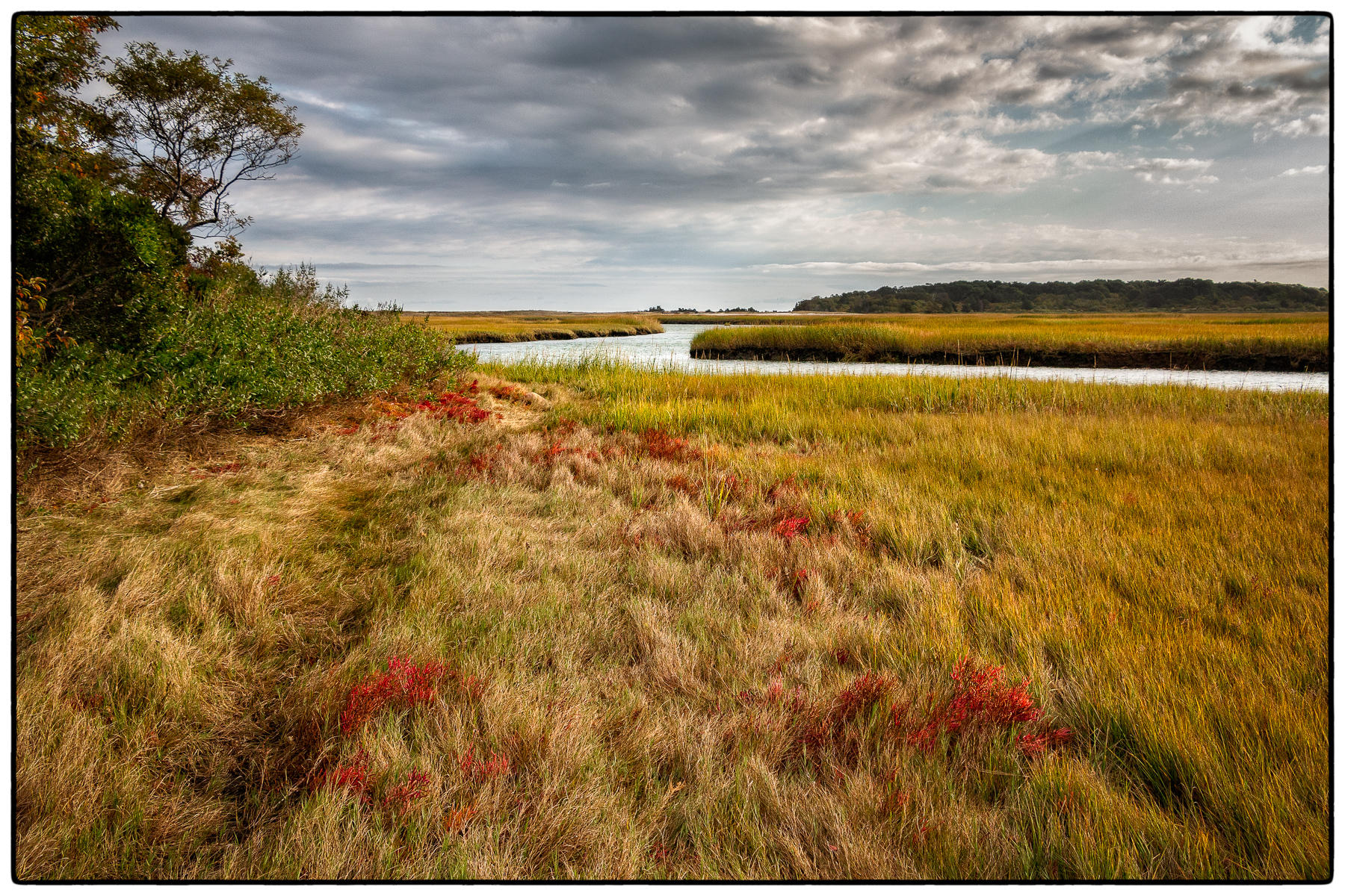 Fall Grasses, Quivett Creek