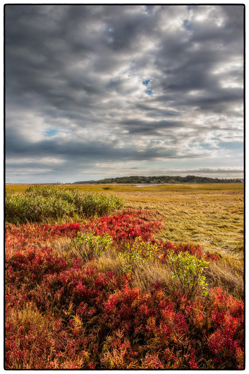 Crowe's Pasture in the Fall