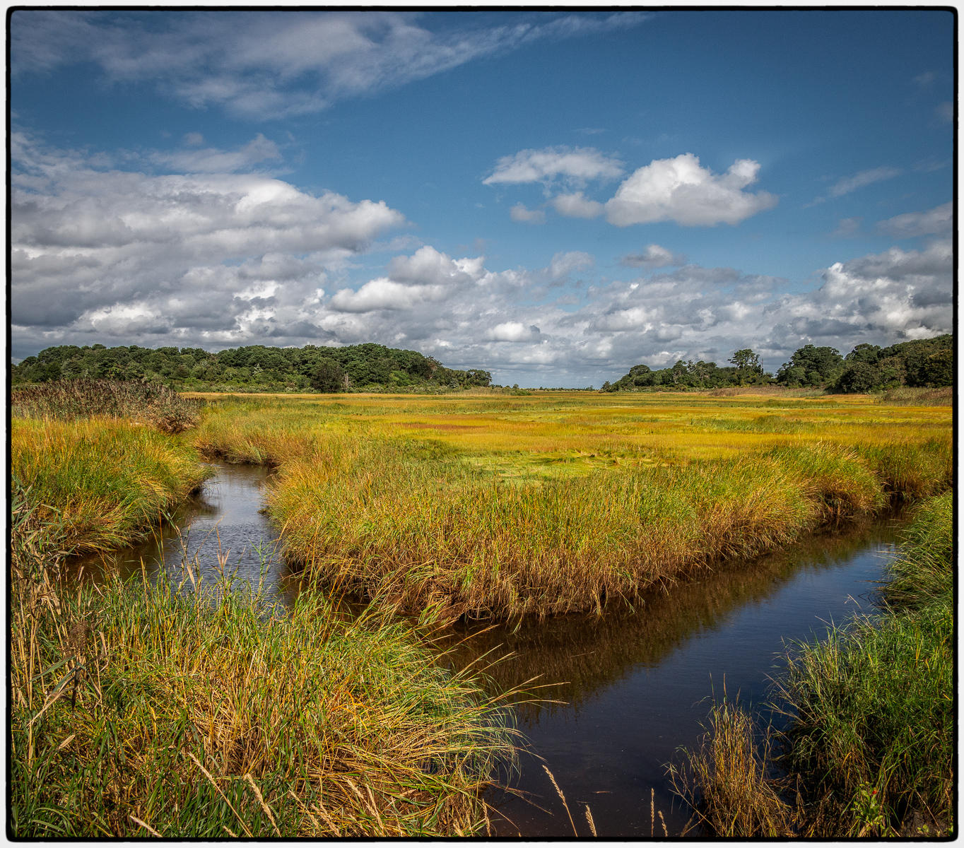 Brewster Marsh Lands