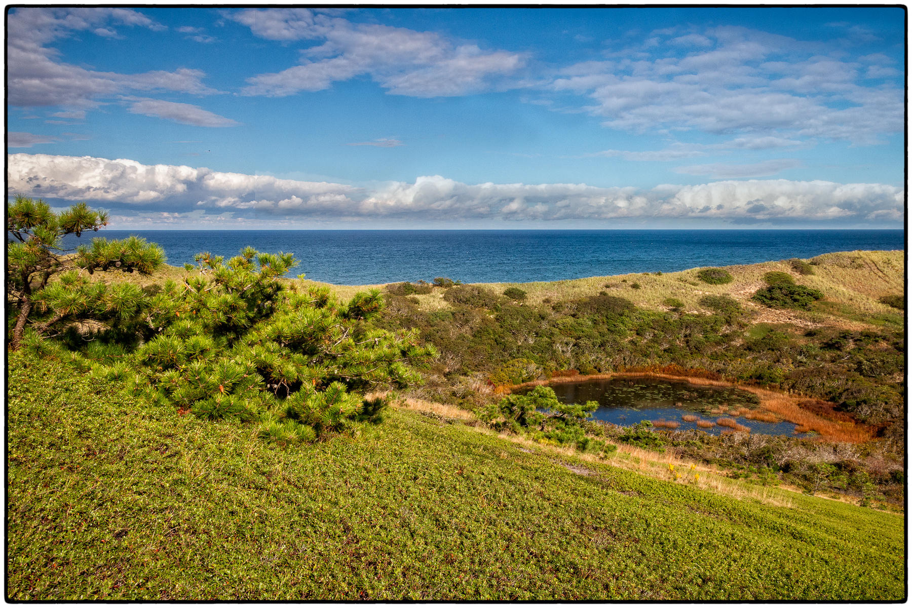 Bearberry Hill