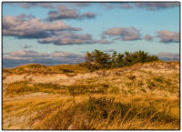 All images © Jane Marcy. All Rights Reserved.      