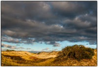 All images © Jane Marcy. All Rights Reserved.      