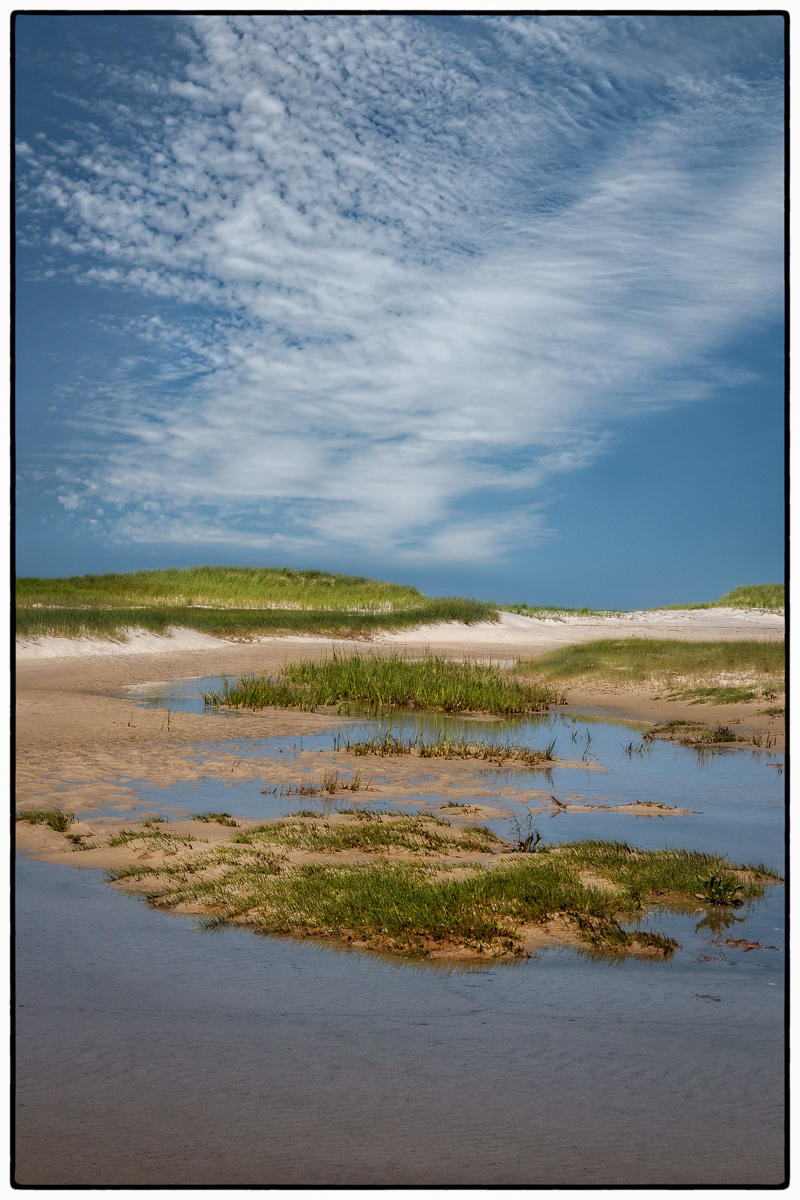 Inner Chapin Beach Low Tide 